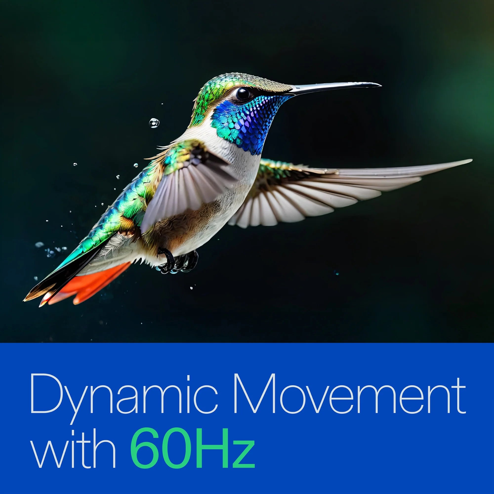 65” Class 4K UHD (2160P) LED Roku Smart Television HDR (100012587)